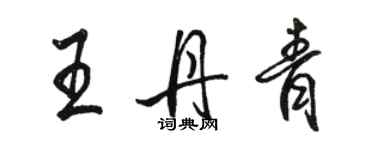 駱恆光王丹青行書個性簽名怎么寫