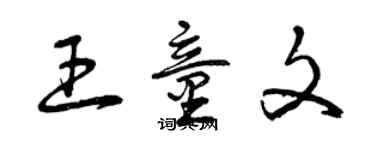 曾慶福王童文草書個性簽名怎么寫