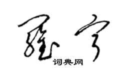 梁錦英羅寧草書個性簽名怎么寫