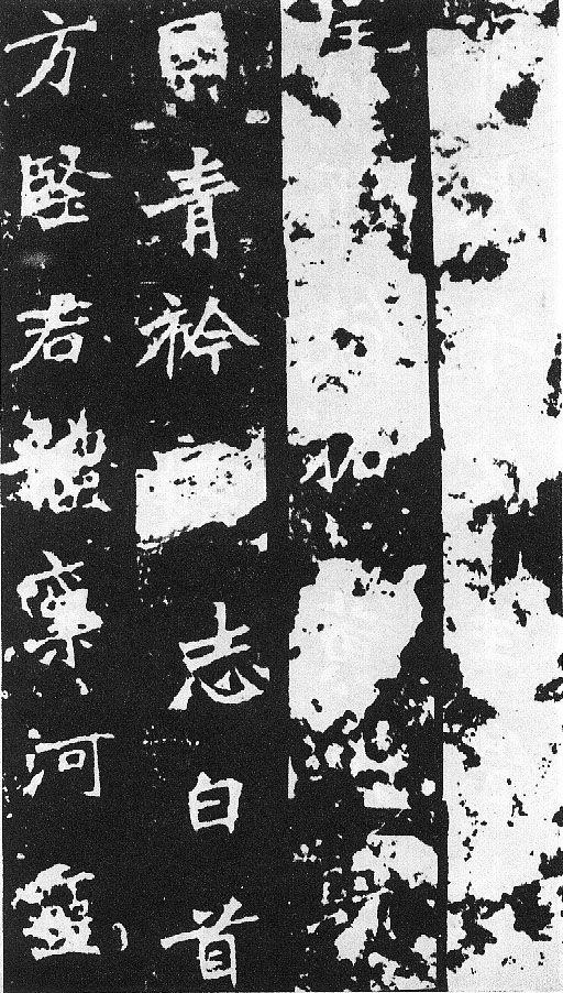 刀譜樣的書法《張猛龍碑》