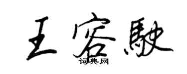 王正良王容駛行書個性簽名怎么寫