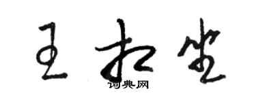 駱恆光王相坐草書個性簽名怎么寫