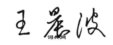 駱恆光王晨波草書個性簽名怎么寫