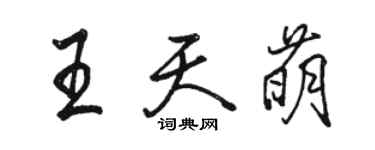 駱恆光王天萌行書個性簽名怎么寫