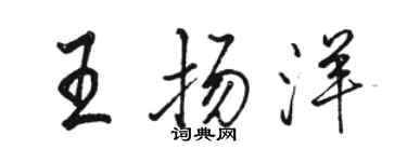 駱恆光王揚洋行書個性簽名怎么寫