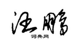 朱錫榮汪鵬草書個性簽名怎么寫