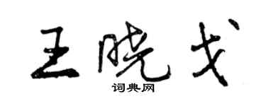 曾慶福王曉戈行書個性簽名怎么寫