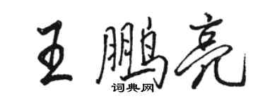 駱恆光王鵬亮行書個性簽名怎么寫