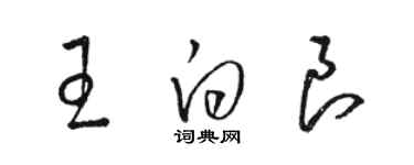 駱恆光王白良草書個性簽名怎么寫