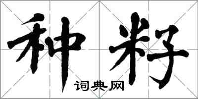 翁闓運種籽楷書怎么寫