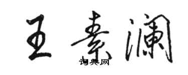 駱恆光王素瀾行書個性簽名怎么寫