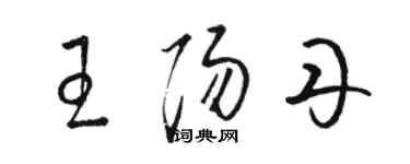 駱恆光王陽丹草書個性簽名怎么寫