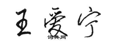 駱恆光王愛寧行書個性簽名怎么寫