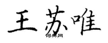 丁謙王蘇唯楷書個性簽名怎么寫