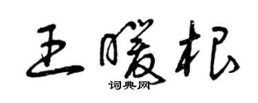曾慶福王暖根草書個性簽名怎么寫