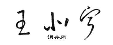 駱恆光王北寧草書個性簽名怎么寫