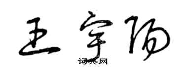 曾慶福王宇陽草書個性簽名怎么寫