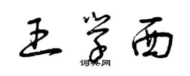 曾慶福王學西草書個性簽名怎么寫