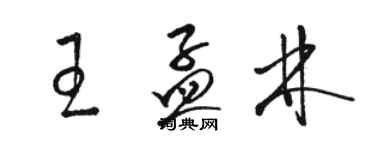 駱恆光王孟林草書個性簽名怎么寫