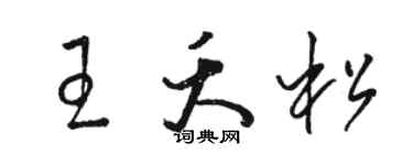 駱恆光王夭松草書個性簽名怎么寫