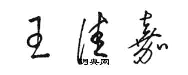 駱恆光王佳嘉草書個性簽名怎么寫