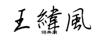 王正良王緯風行書個性簽名怎么寫