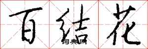 錢沛雲百結花行書怎么寫
