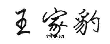 駱恆光王家豹行書個性簽名怎么寫