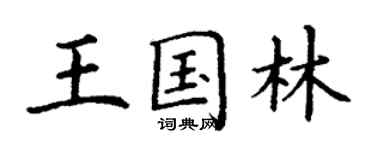 丁謙王國林楷書個性簽名怎么寫