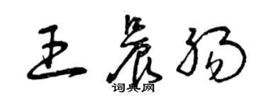 曾慶福王晨腸草書個性簽名怎么寫