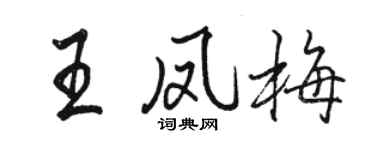駱恆光王鳳梅行書個性簽名怎么寫
