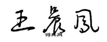 曾慶福王晨鳳草書個性簽名怎么寫