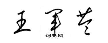 梁錦英王軍苓草書個性簽名怎么寫