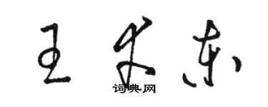 駱恆光王幸東草書個性簽名怎么寫