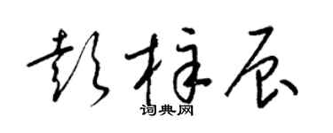 梁錦英彭梓辰草書個性簽名怎么寫