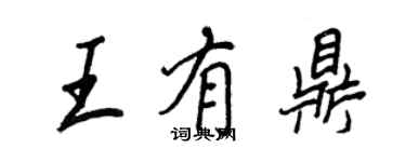 王正良王有鼎行書個性簽名怎么寫