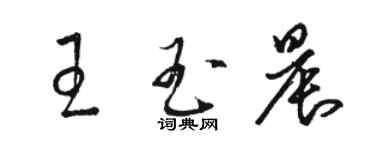 駱恆光王玉晨草書個性簽名怎么寫