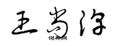 曾慶福王尚淳草書個性簽名怎么寫