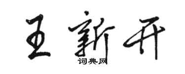 駱恆光王新開行書個性簽名怎么寫