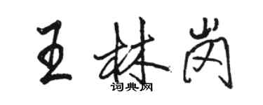 駱恆光王林崗行書個性簽名怎么寫