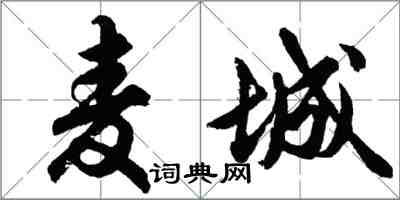 胡問遂麥城行書怎么寫