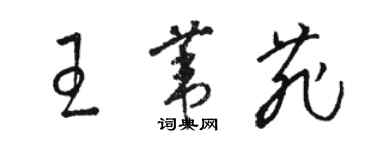 駱恆光王葦菲草書個性簽名怎么寫