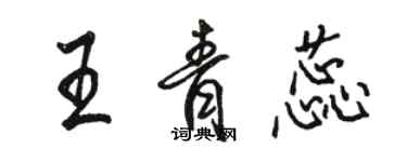 駱恆光王青蕊行書個性簽名怎么寫