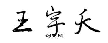 曾慶福王宇夭行書個性簽名怎么寫