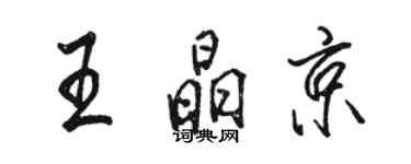 駱恆光王晶京行書個性簽名怎么寫