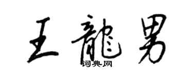 王正良王龍男行書個性簽名怎么寫