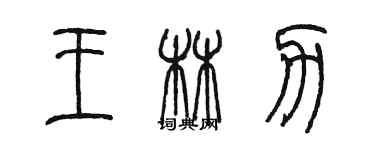 陳墨王林力篆書個性簽名怎么寫