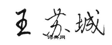 駱恆光王蘇城行書個性簽名怎么寫