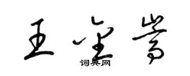 梁錦英王金嵩草書個性簽名怎么寫