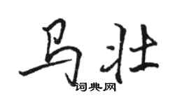 駱恆光馬壯行書個性簽名怎么寫